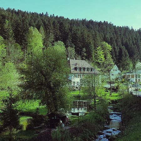 Gut Lauterbad Hotel Φρόιντενσταντ Εξωτερικό φωτογραφία