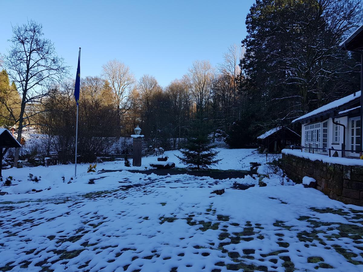 Gut Lauterbad Hotel Φρόιντενσταντ Εξωτερικό φωτογραφία