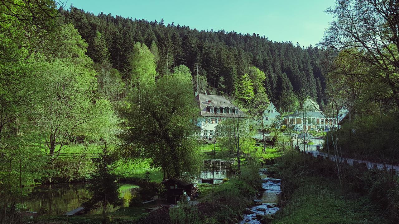 Gut Lauterbad Hotel Φρόιντενσταντ Εξωτερικό φωτογραφία